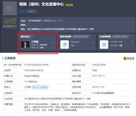 王思聰再被限制消費(fèi)，計(jì)算機(jī)軟件技術(shù)開發(fā)背后的法律警示